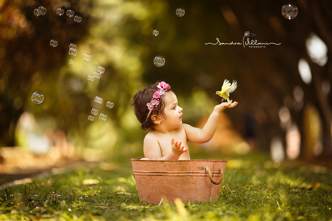 Smash the Splash - Cake em São Caetano do Sul - SP