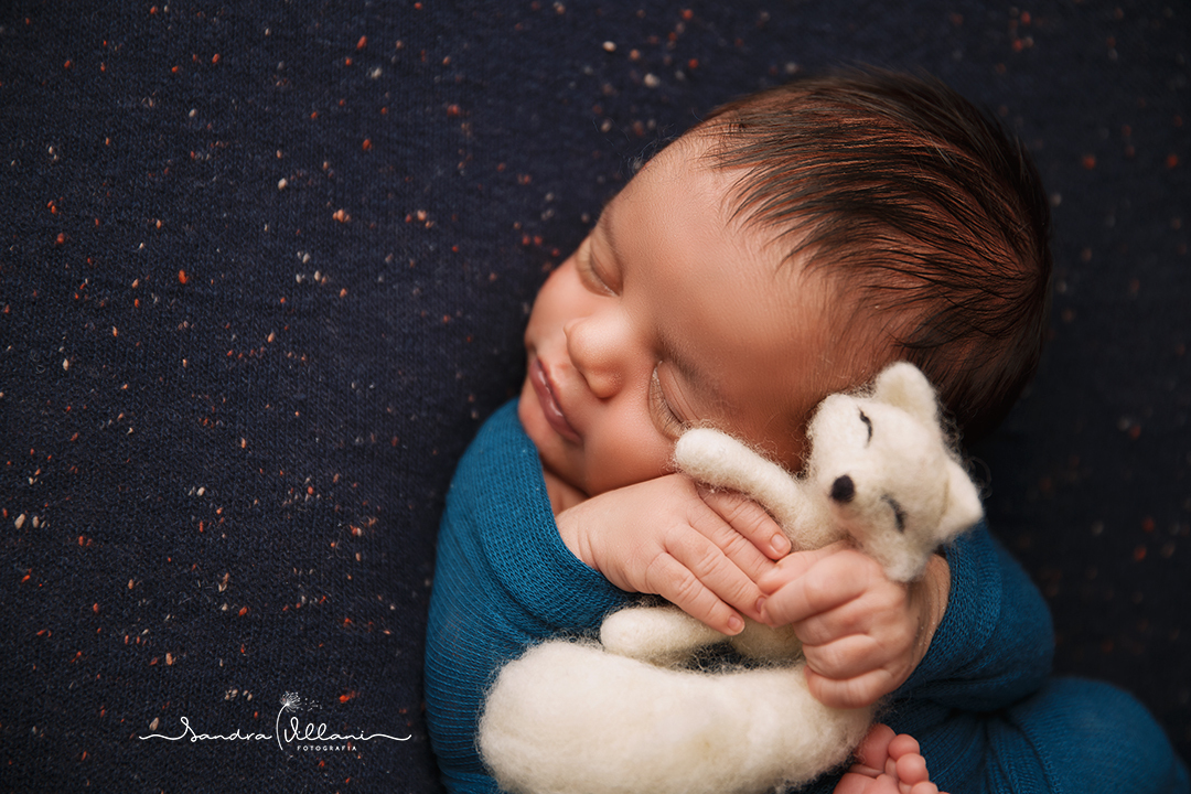 ensaio newborn ou recém nascido realizado em São Caetano do Sul - ABC - SP com raposinha de feltro da Tok Baby Props Newborn