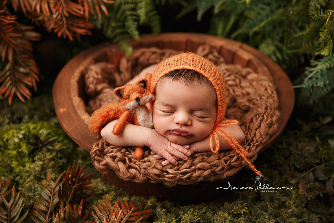 ensaio newborn ou recém nascido realizado em São Caetano do Sul - ABC - SP com raposinha de feltro da Tok Baby Props Newborn