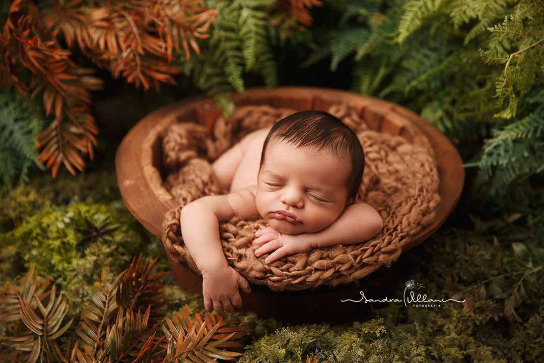 ensaio newborn ou recém nascido realizado em São Caetano do Sul - ABC - SP no jardim