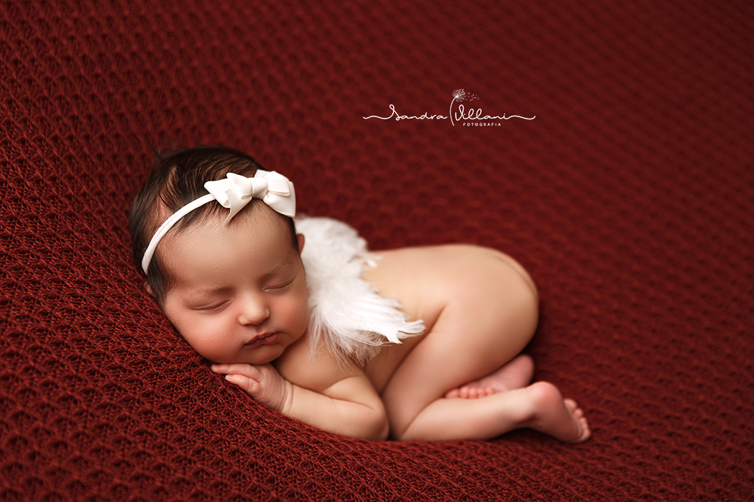 Ensaio newborn ou recém nascido realizado em São Caetano do Sul- ABC - SP com asinhas de anjo