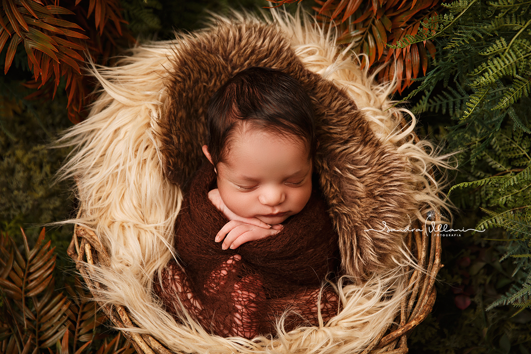 Fotografia recém nascidos - ensaio newborn realizado em São Caetano do Sul - SP