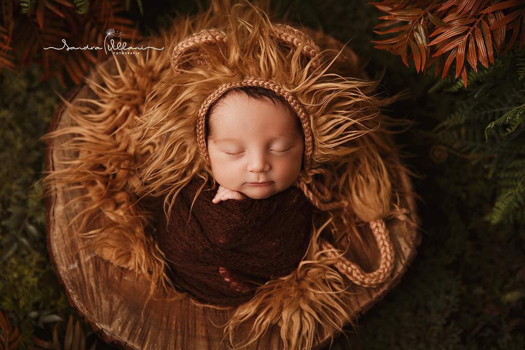 ensaio newborn realizado em São Caetano do Sul