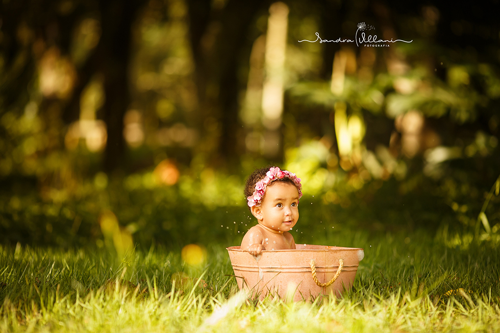 Smash the Splash realizado no ABC 