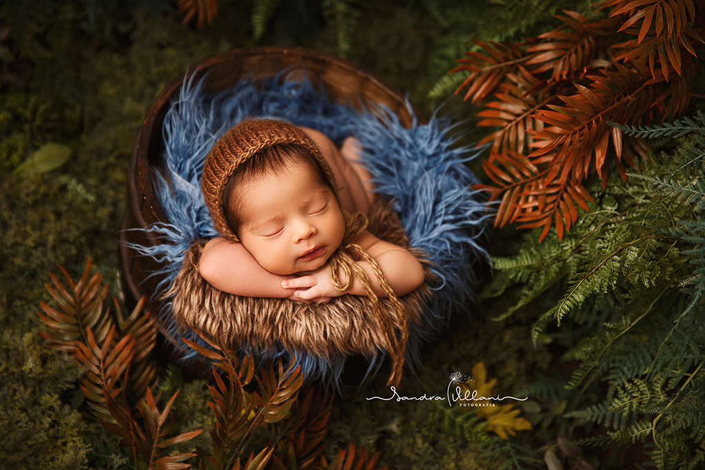 ensaio newborn realizado em São Caetano do Sul - SP no jardim