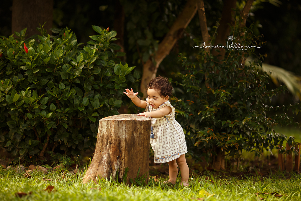 Ensaio familia e infantil para comemorar o primeiro aninho da Barbara