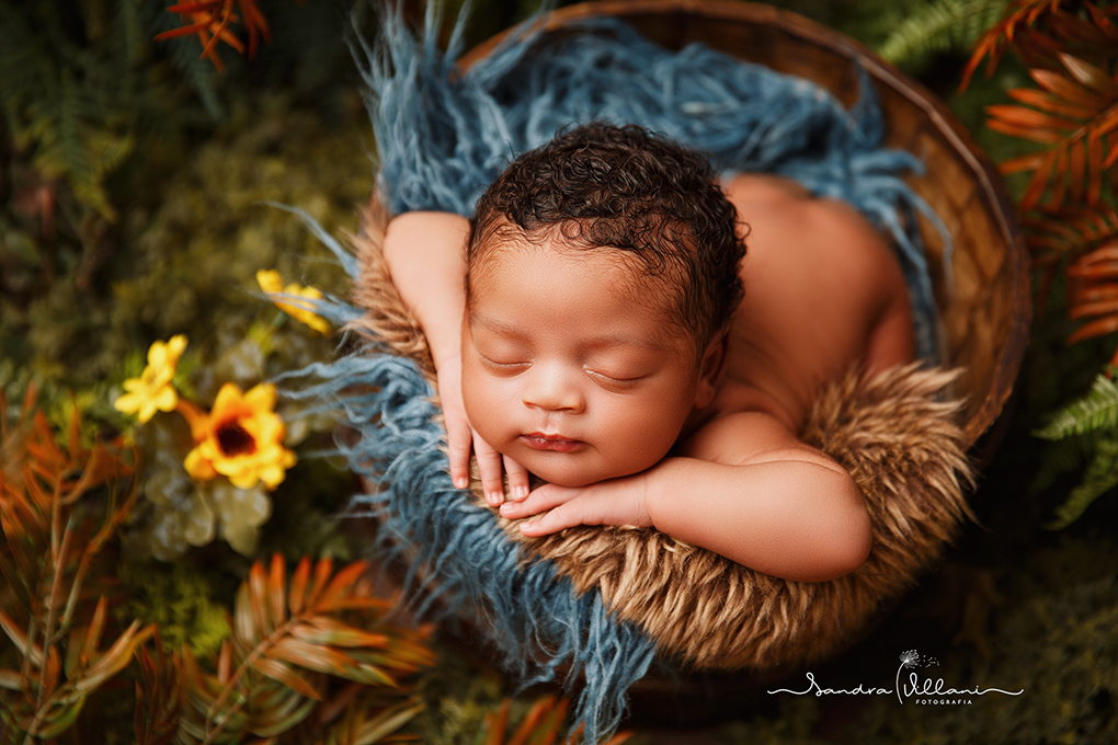 ensaio newborn ou recém nascido realizado no ABC - SP no jardim