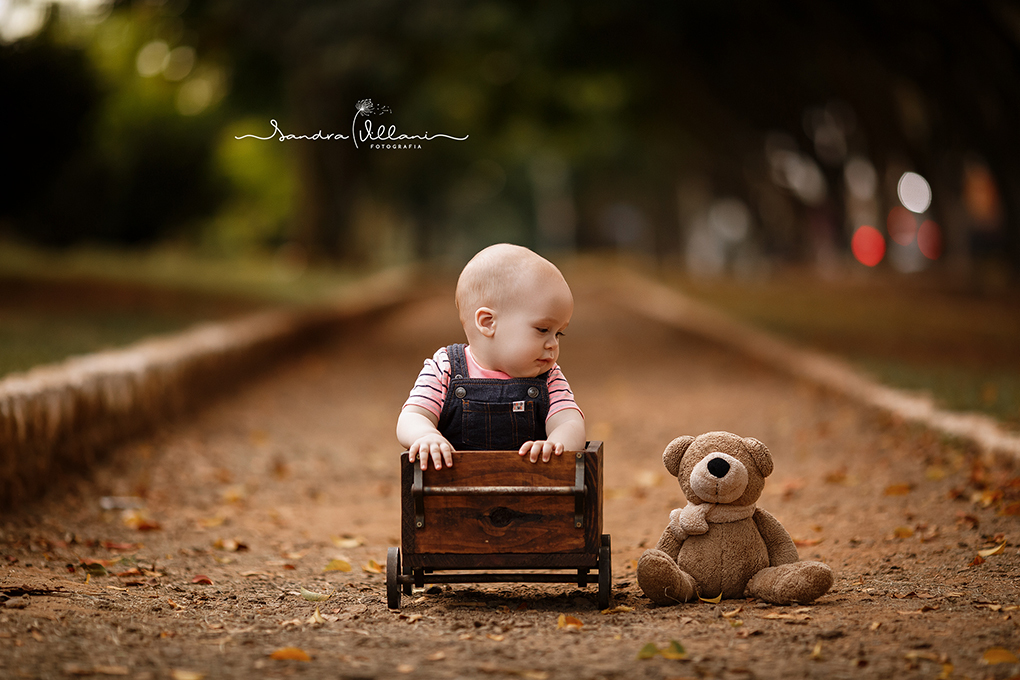 ensaio infantil para comemorar o primeiro aninho do Jonas realizado em São Caetano do Sul - ABC - SP com ursinho