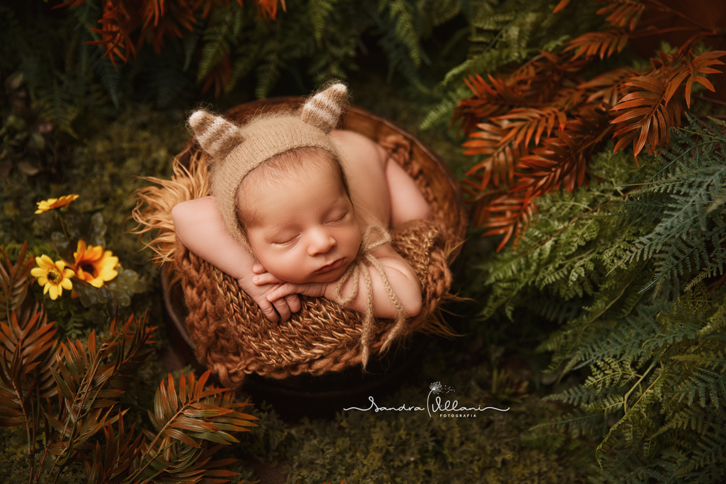 fotografia de recém nascido no jardim