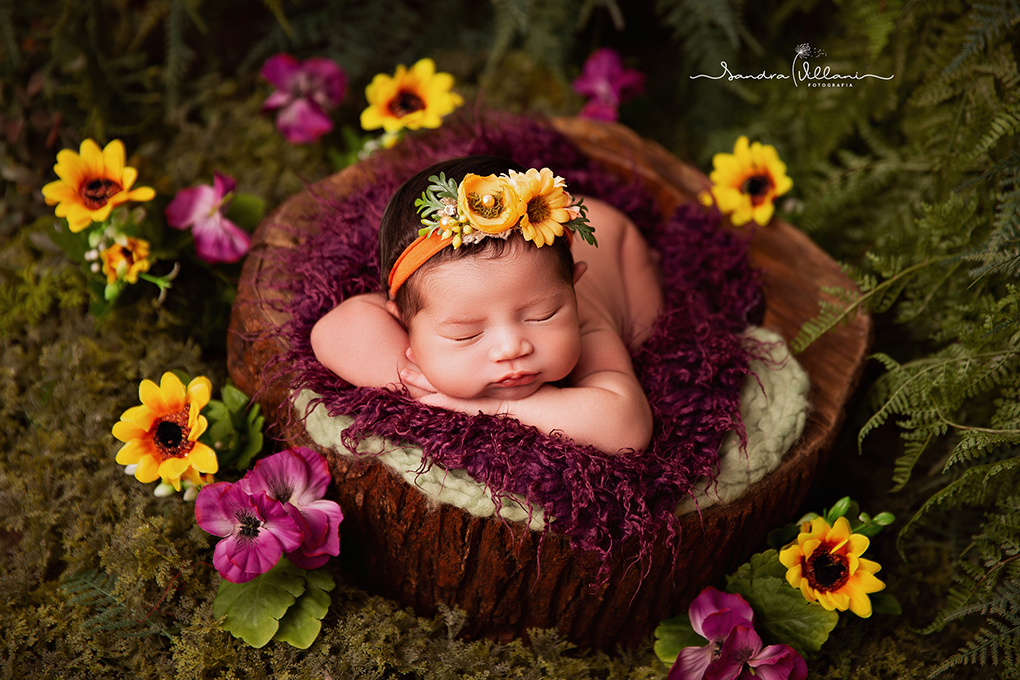 Ensaio recém nascido da Laura em São Caetano - ABC - SP em jardim