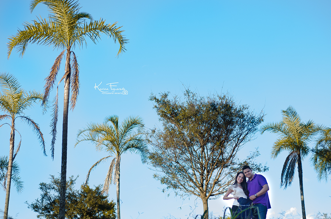 fotos de gestante no swiss park em campinas