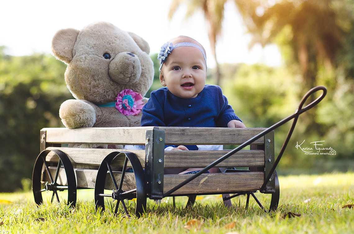 acompanhamento mensal trimestral de bebê em campinas sp por karina figueredo