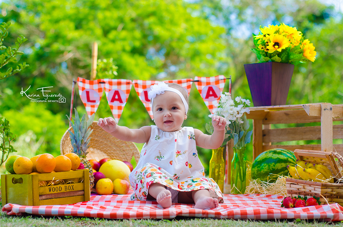 acompanhamento mensal trimestral de bebê em campinas sp por karina figueredo