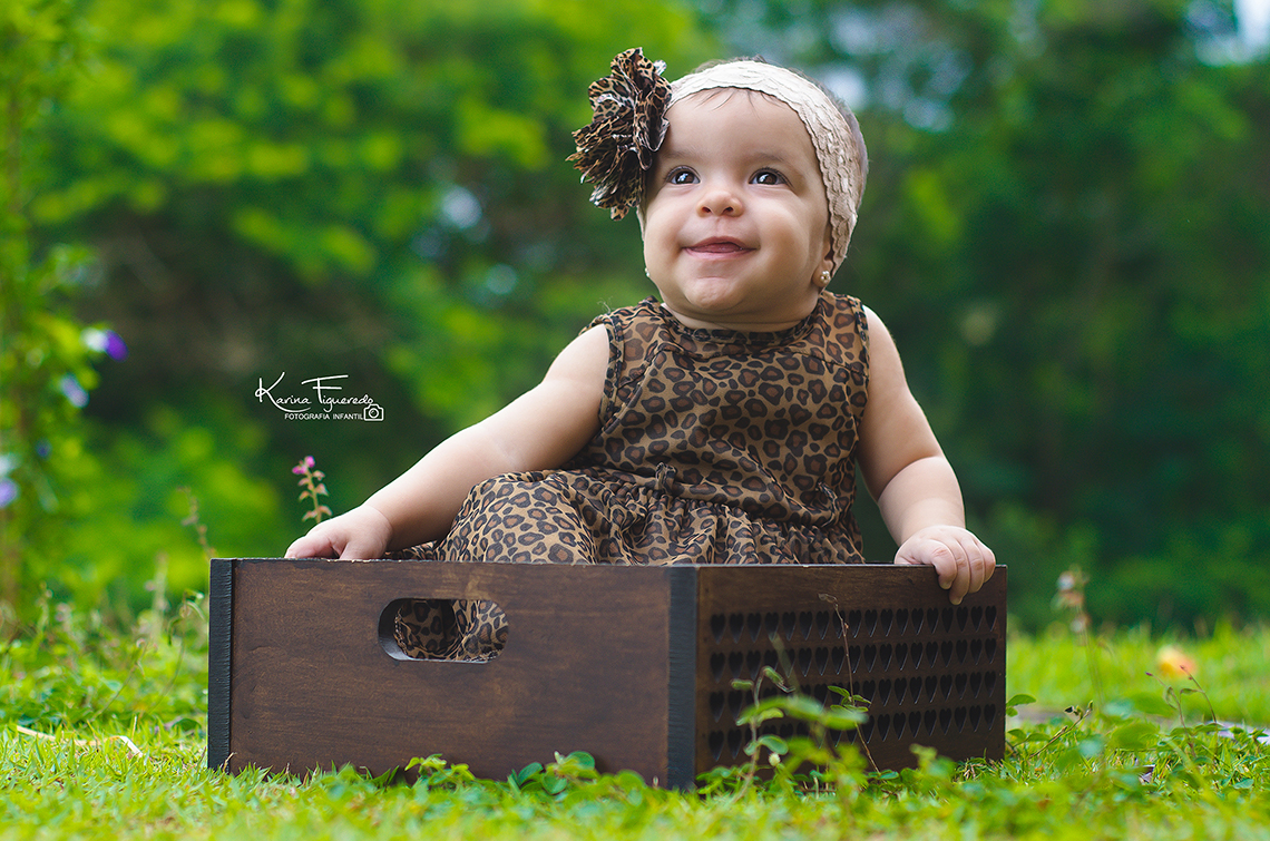 acompanhamento mensal trimestral de bebê em campinas sp por karina figueredo
