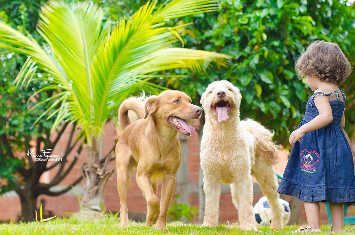ensaio-infantil da Laura em Campinas por Karina Figueredo