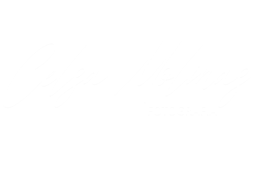 Logotipo de Celsa Molinas