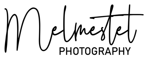 Logotipo de Anne Melmestet