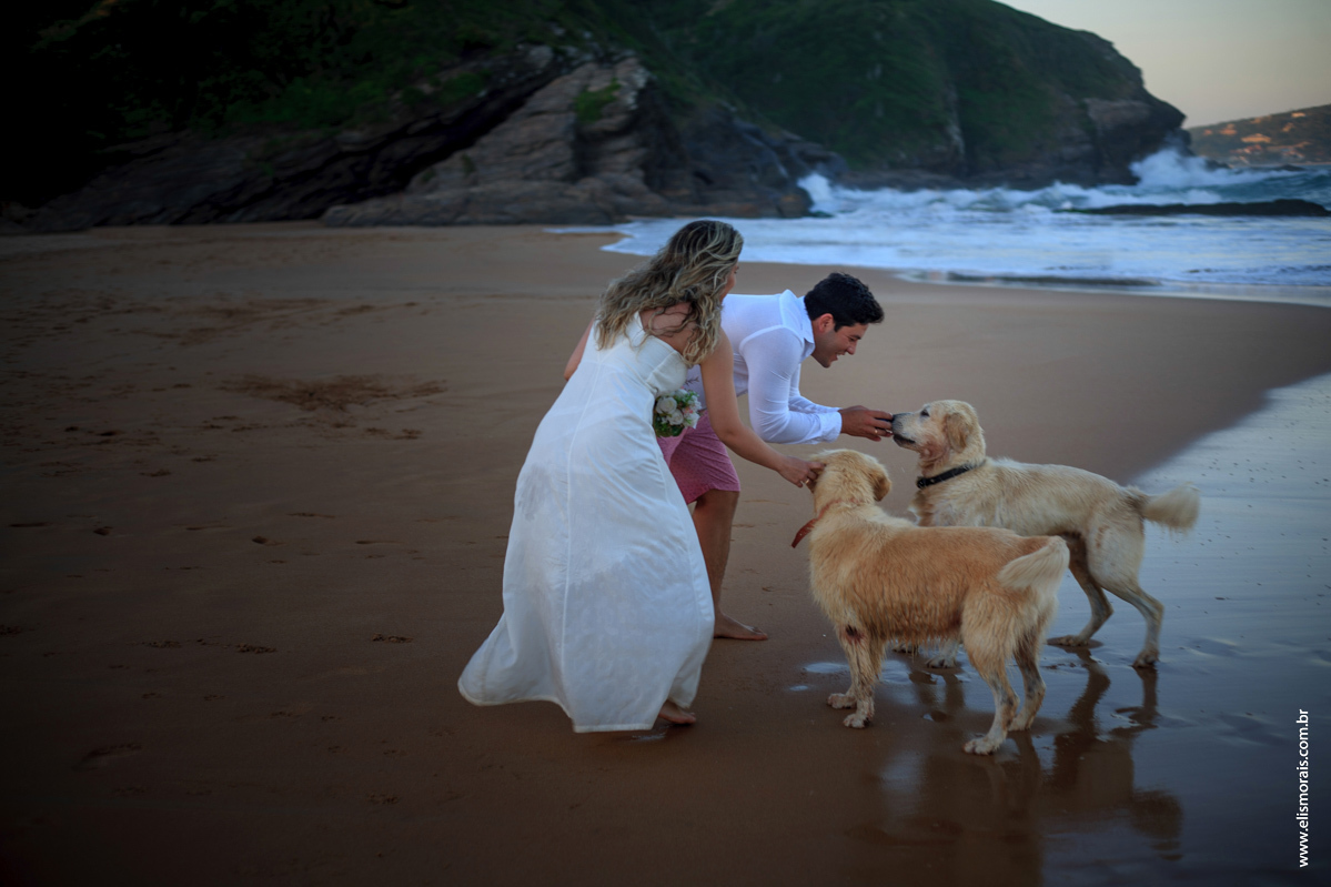 Foto dos noivos com cachorros em Save the date na praia de tucuns em búzios RJ