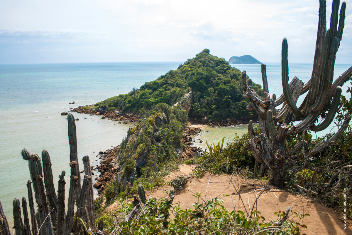 elopement wedding na Ponta do Pai Vitório em Búzios - RJ