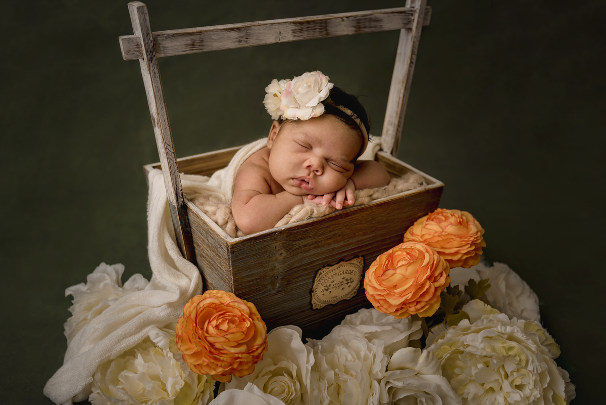 sessão Newborn Majorye
Super fofinha