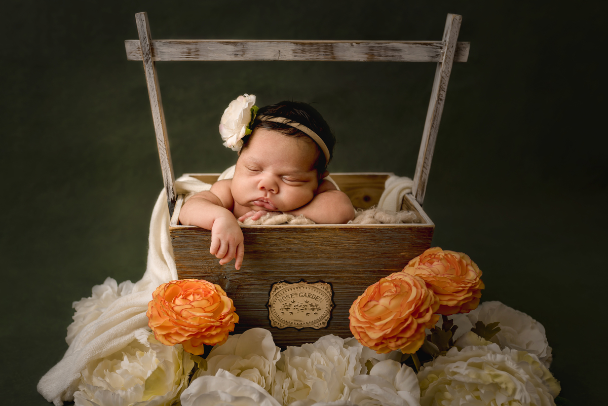 sessão Newborn Majorye
Super fofinha