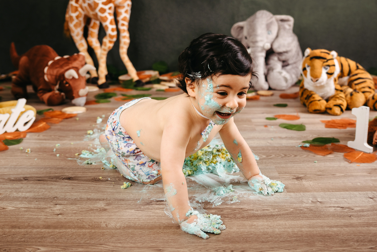 meu tudo fotografia; fotografia de estudio; smash the cake