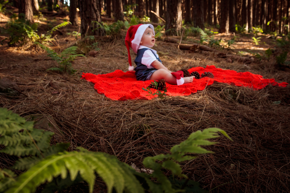 Ensaio Fotográfico Infantil Fotografia Infantil no Rancho Morro Alto Roca Sales com a Fotógrafa Vanessa Cristina de Vanessa Cristina Fotografia