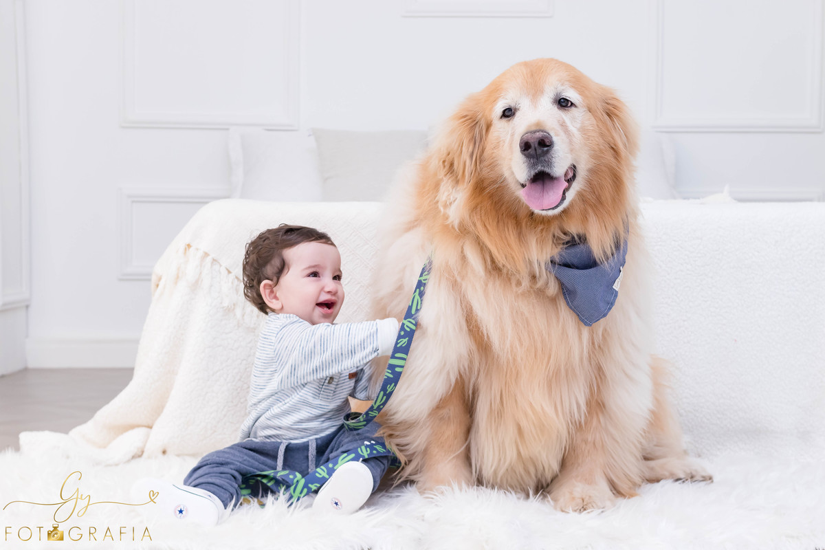 Ensaio smash the cake clean. ensaio de 1 ano do bebe. ensaio em estudio. Momento registrado pela fotografa Giscellayne - Gy fotografia. Fotografo em Londrina.