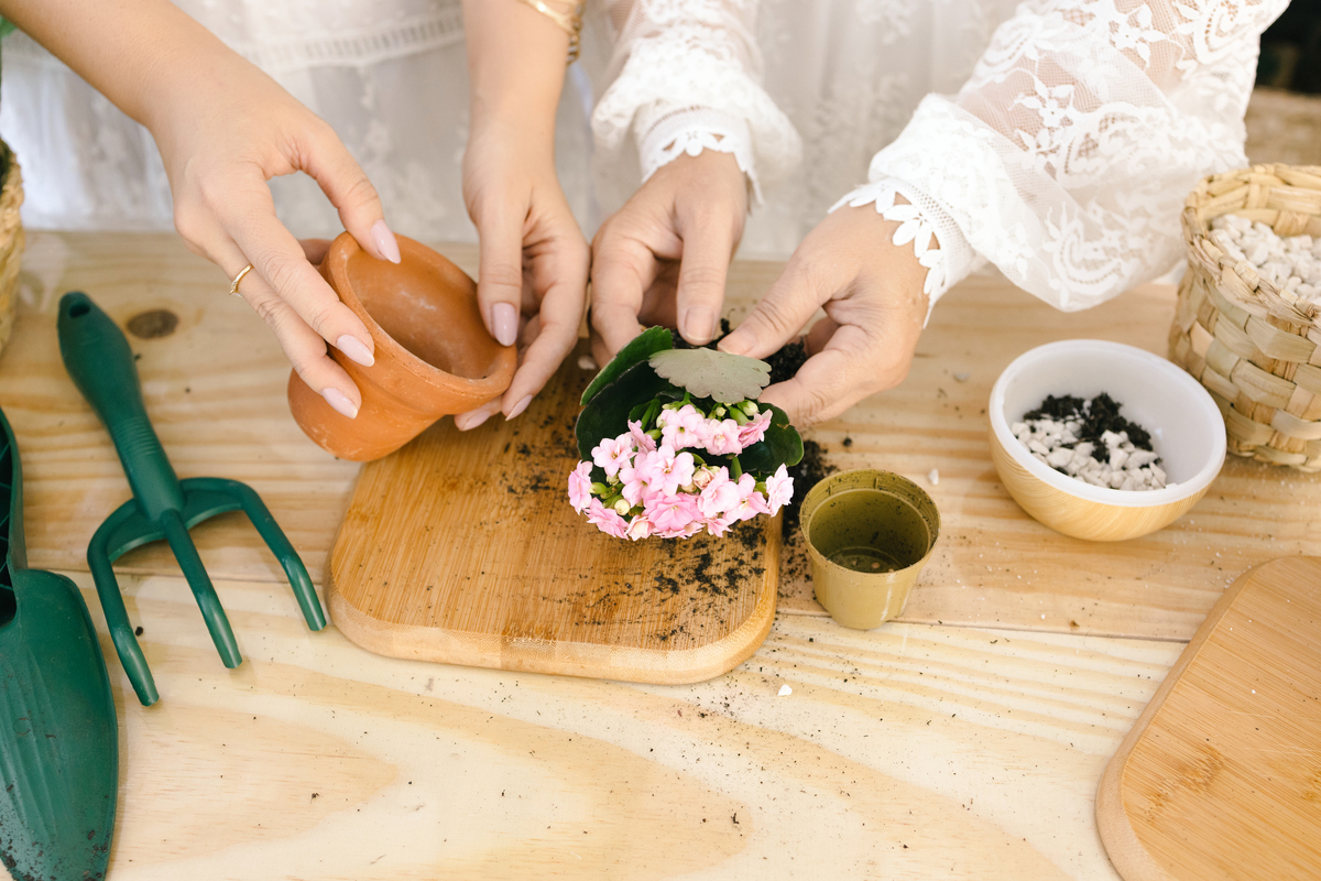 Ensaio de dia das mães, cenário estufa com plantas naturais dentro do estudio. fotografa em Londrina-Pr especializada em ensaios de família. Estúdio Gy fotografia