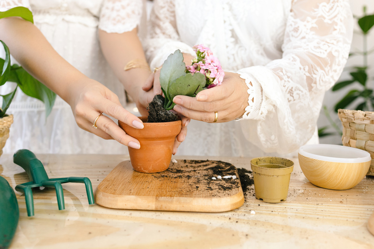 Ensaio de dia das mães, cenário estufa com plantas naturais dentro do estudio. fotografa em Londrina-Pr especializada em ensaios de família. Estúdio Gy fotografia