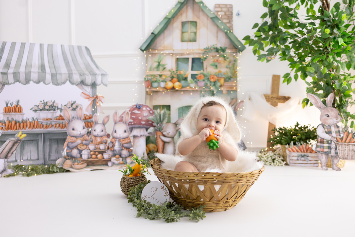 Ensaio de acompanhamento do bebê, mesversário. ensaio de 4 meses.. fotógrafo em londrina especializado em ensaios de bebês.