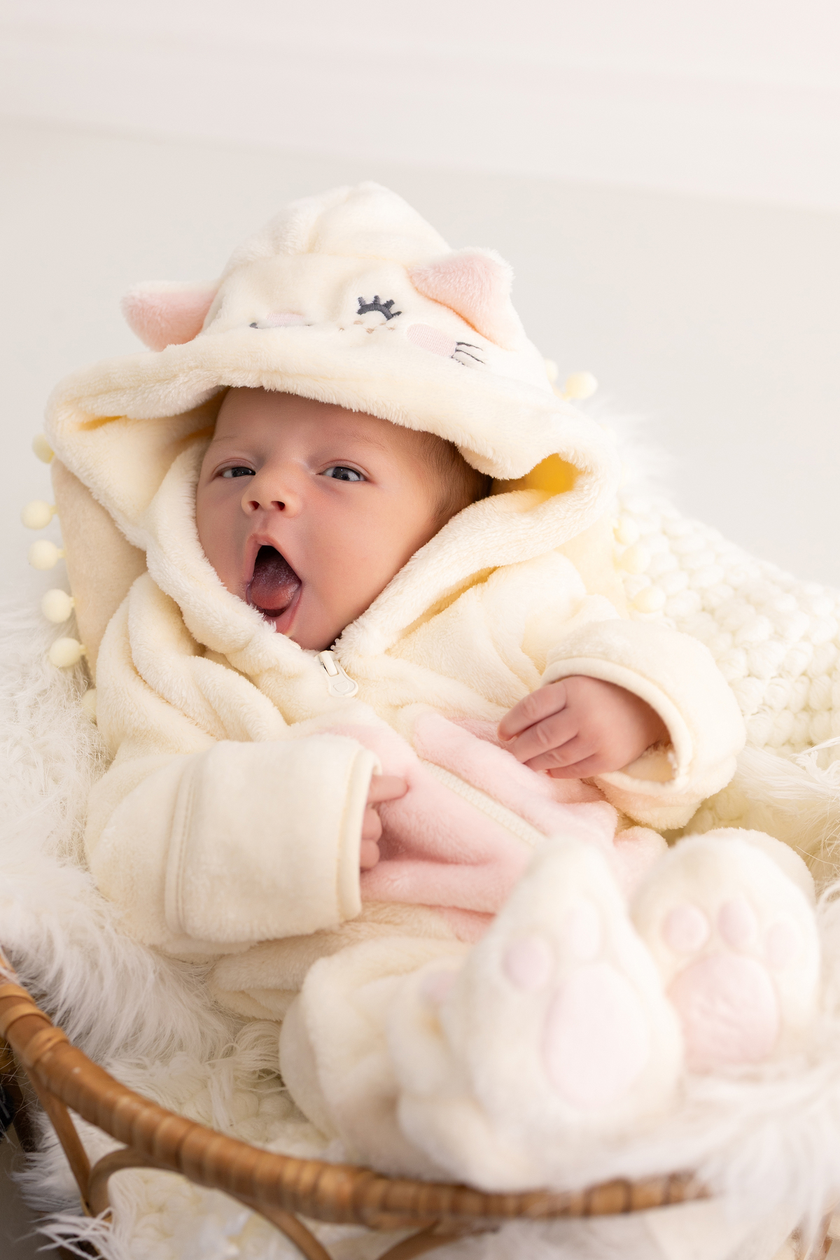 Ensaio Newborn natural da Laura, ensaio em estúdio em Londrina-pr, fotografa especializada em ensaios de bebês em família.