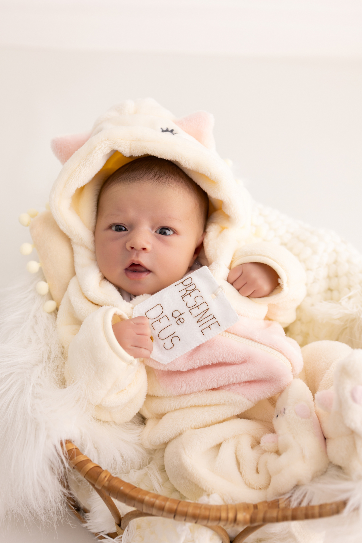 Ensaio Newborn natural da Laura, ensaio em estúdio em Londrina-pr, fotografa especializada em ensaios de bebês em família.