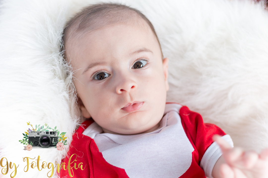 mini ensaio de natal e ano novo em londrina, fotografa de estudio e externa, ensaio de gestante e newborn com desconto