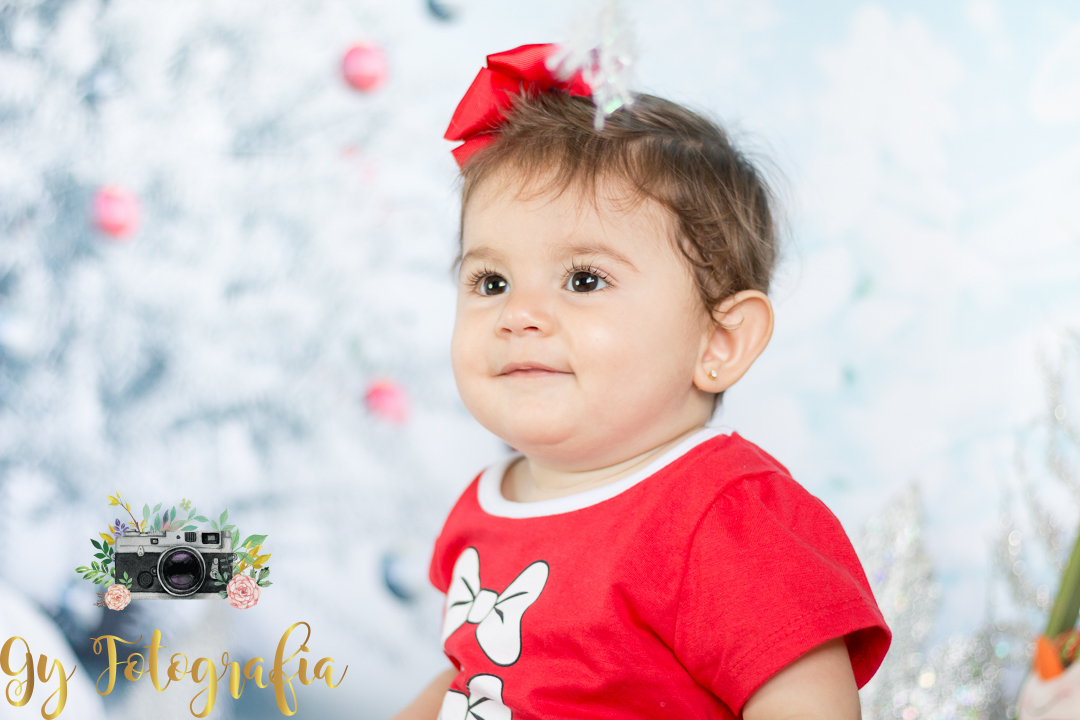 Mini ensaio de natal em londrina, fotografo em londrina,  fotgrafa especializada em ensaio de gestantes, bebes e crianças, ensaios em estúdio e externas