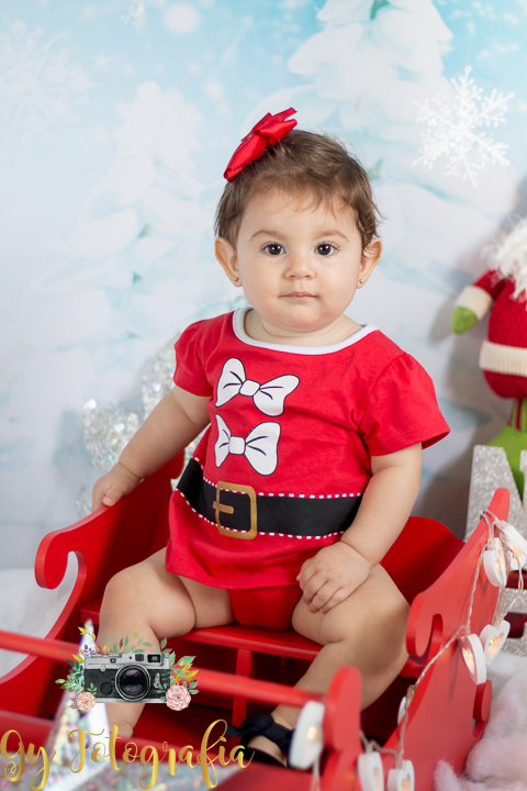 Mini ensaio de natal em londrina, fotografo em londrina,  fotgrafa especializada em ensaio de gestantes, bebes e crianças, ensaios em estúdio e externas