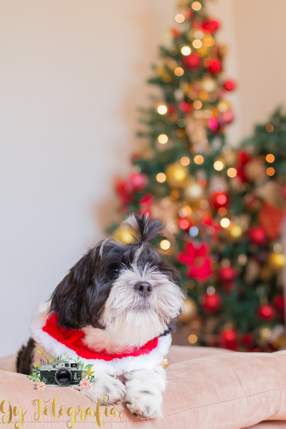 momento registrado pela Giscellayne | Gy fotografia, Fotografo em londrina especializada em ensaios