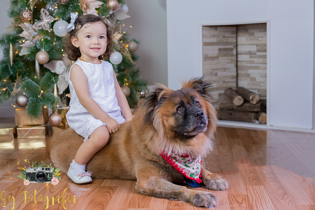 Mini ensaio de natal, fotografo em londrina, momento registrado pela fotografa Giscellayne | Gy fotografia, fotógrafa especializada em ensaios de bebes, crianças e gestantes.