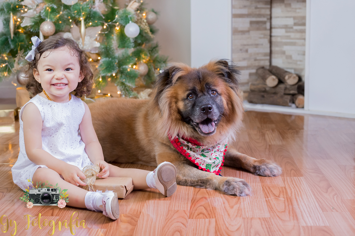 Mini ensaio de natal, fotografo em londrina, momento registrado pela fotografa Giscellayne | Gy fotografia, fotógrafa especializada em ensaios de bebes, crianças e gestantes.