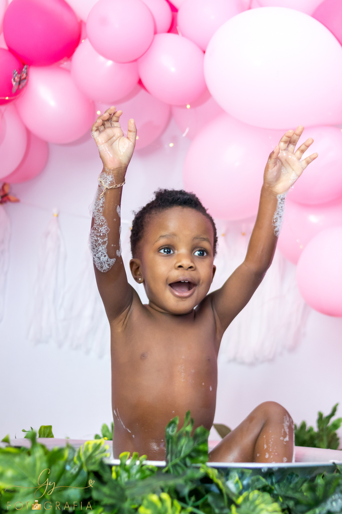 Smash the cake de 2 anos. Fotografo em Londrina