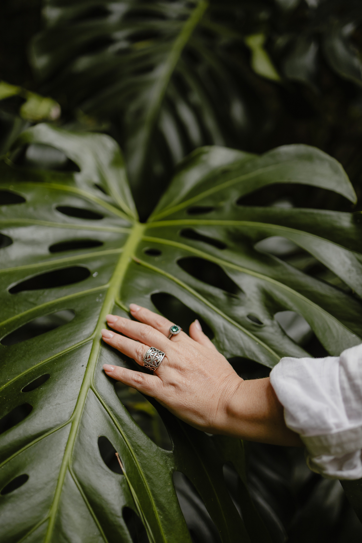 Ensaio marca pessoal Curitiba