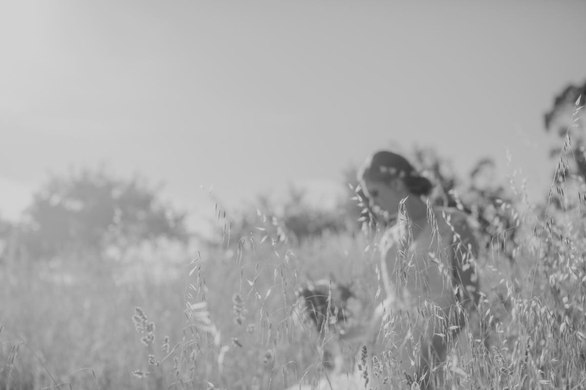 sessão de noivos europarque