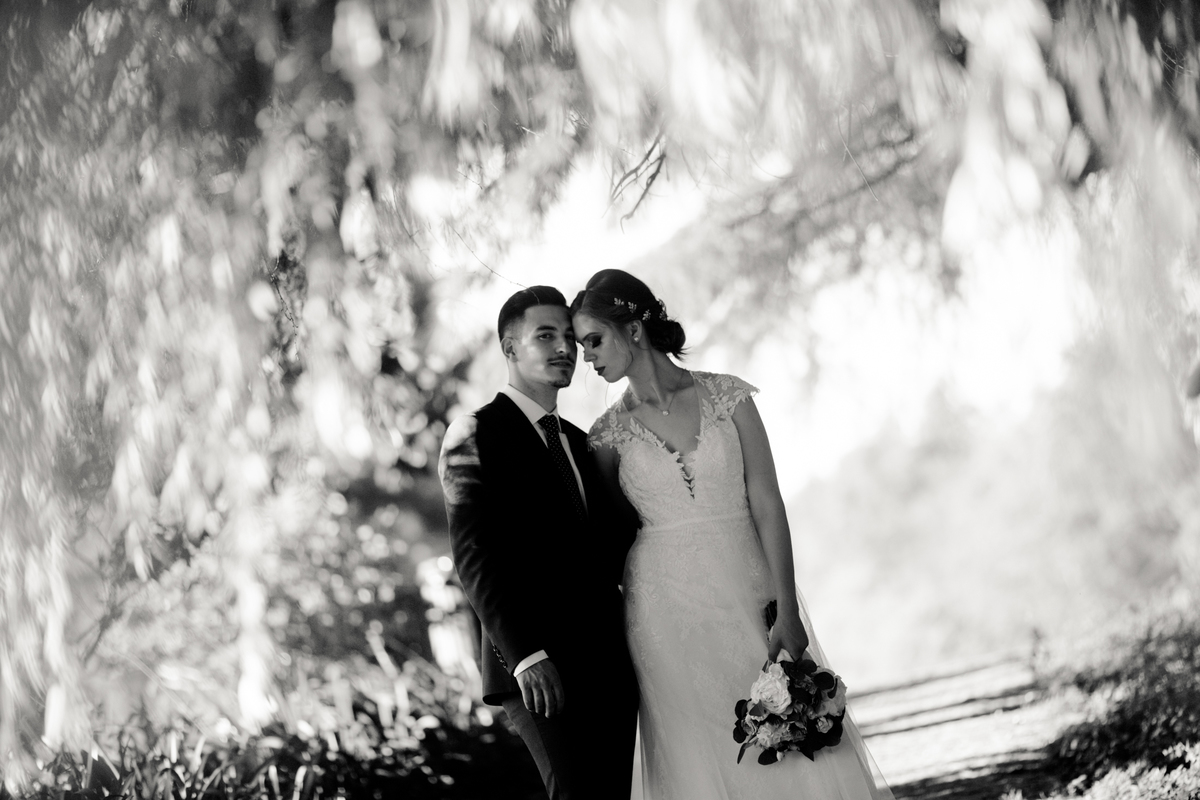 sessão de noivos europarque