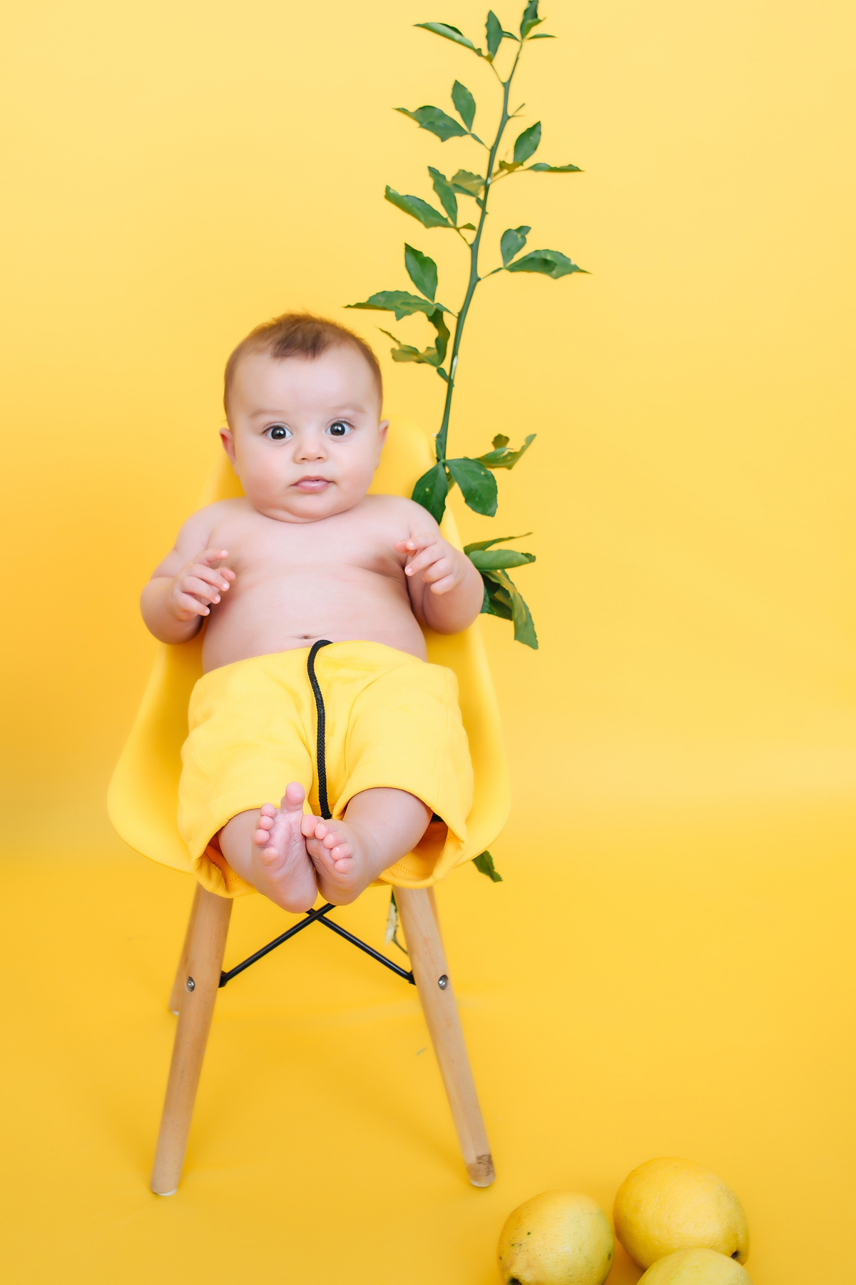 acompanhamento mensal Victor 6