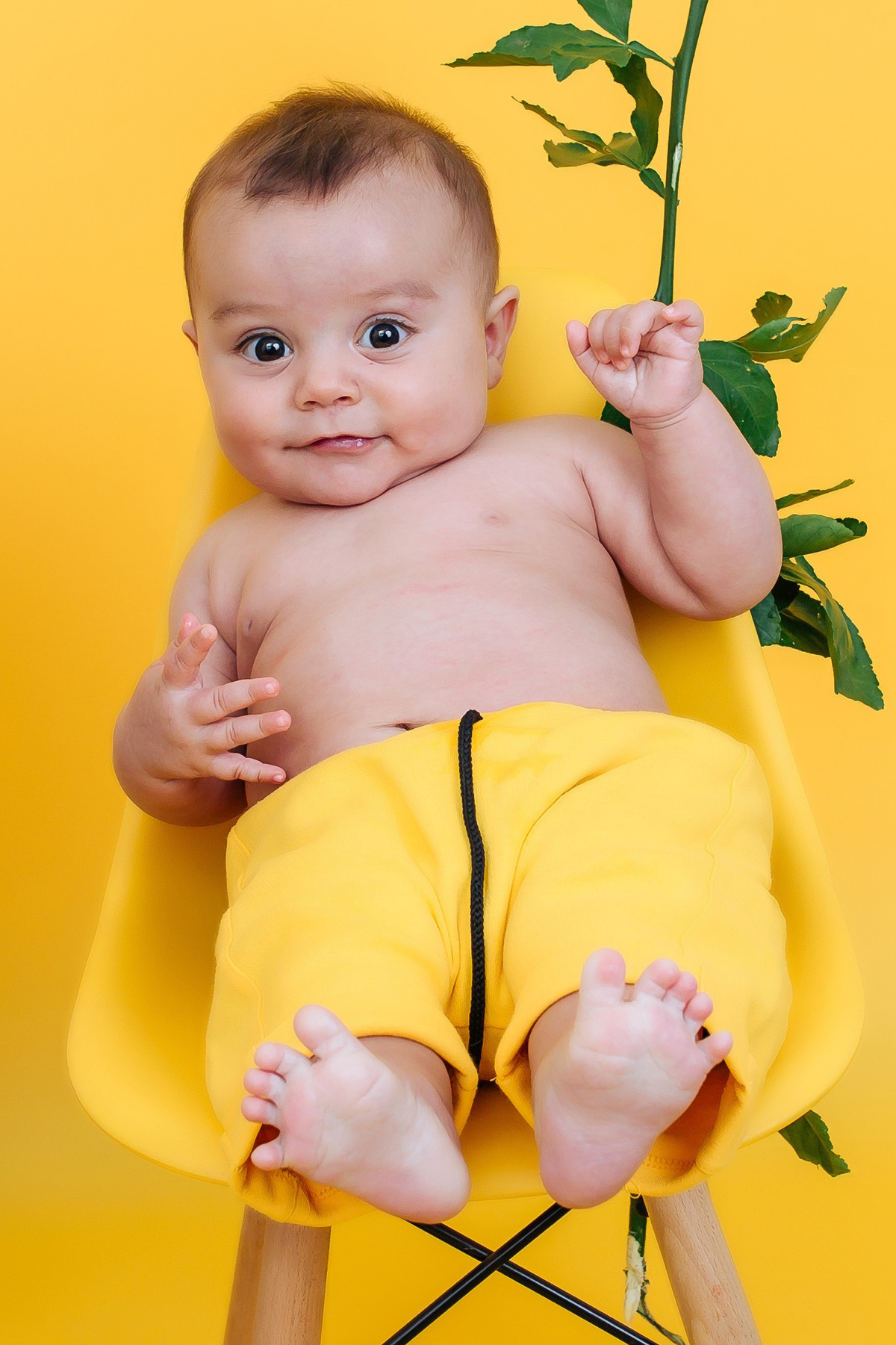 acompanhamento mensal Victor 7