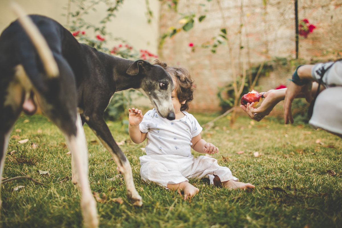 fotografia-de-familia-lifestyle-tiago-silva-foto-espontanea-crianca