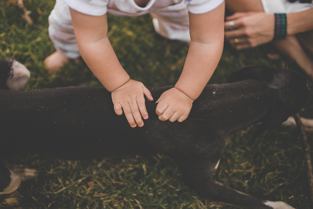 fotografia-de-familia-lifestyle-tiago-silva-foto-espontanea-crianca