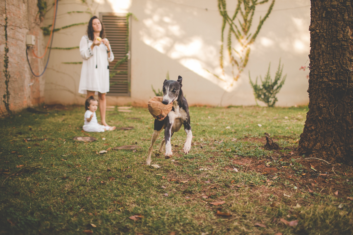 fotografia-de-familia-lifestyle-tiago-silva-foto-espontanea-crianca