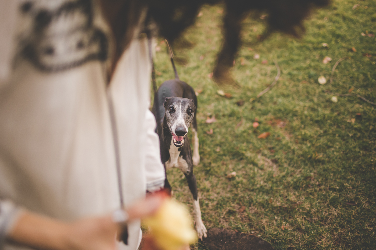 fotografia-de-familia-lifestyle-tiago-silva-foto-espontanea-crianca