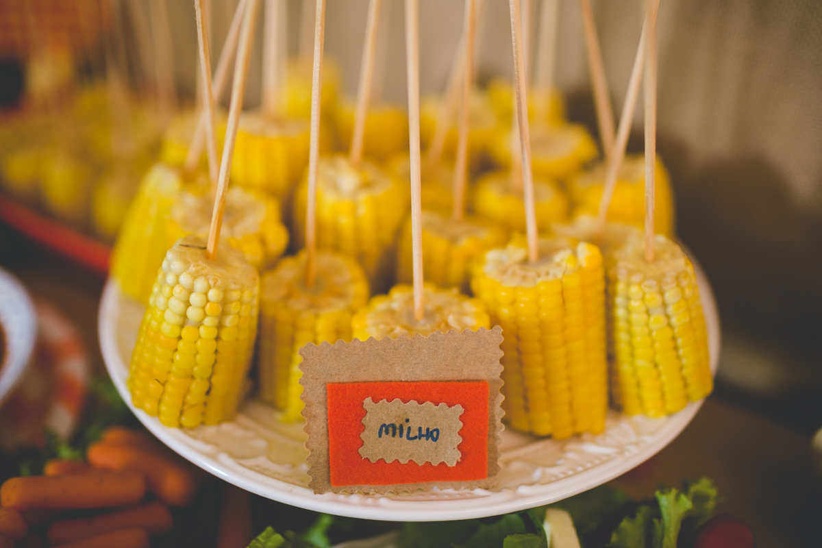 aniversario-infantil-ituverava-tiago-silva-fotografia